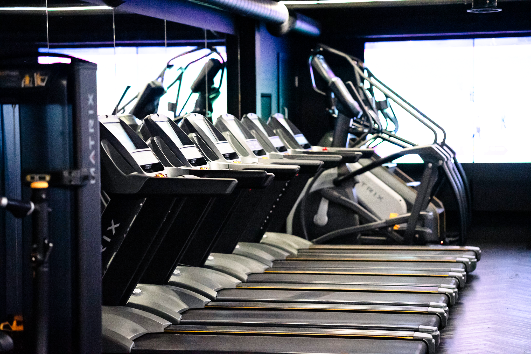 FIXED MEMBERSHIPS IN STEALTH GYMNASIUM